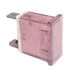 SPIA RUMINOSA RETTANGOLARE