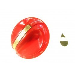 MAN TIPO IGNIS ROS D.8...