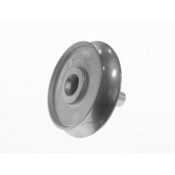 BR TIPO GERMAL FUNGO GRANDE