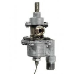 TERM.TIPO REX-ZANUS 1 V