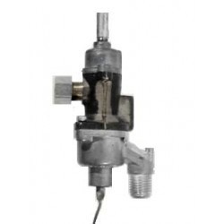 TERM.ZANUS.REX 1 V. 160616