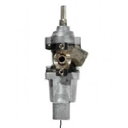 TERM.TIPO REX-ZANUS 1 V